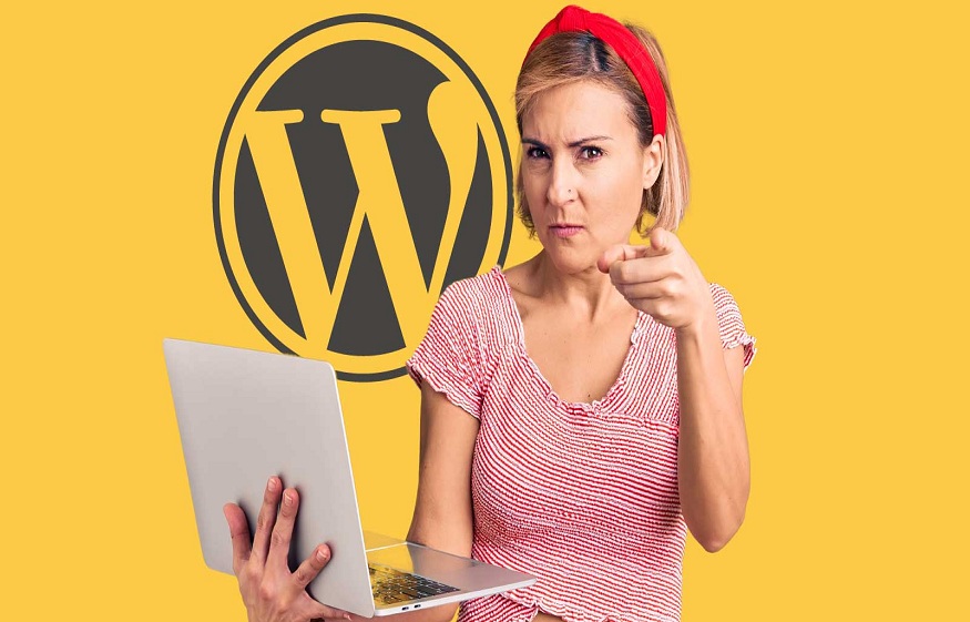 Themes Under WordPress?