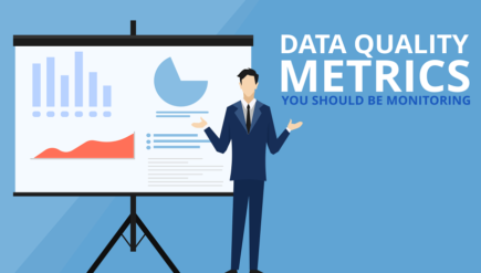 Data Quality Metrics